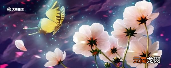 花钟的中心思想是什么 花钟课文中心