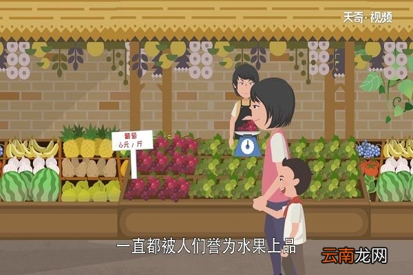 葡萄是酸性还是碱性 葡萄有哪些营养成分