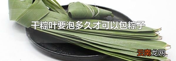干粽叶要泡多久才可以包粽子