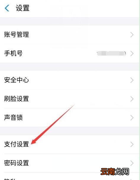 华为畅享9s中将免密支付关掉具体操作步骤