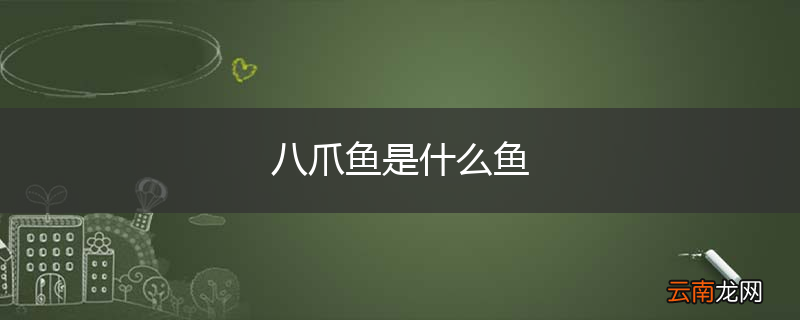 八爪鱼是什么鱼