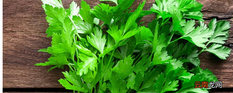 欧芹碎可以用什么代替