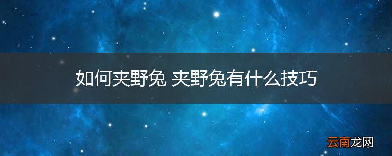 如何夹野兔 夹野兔有什么技巧