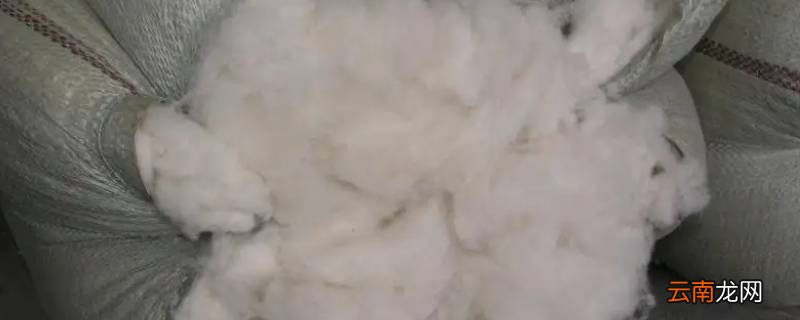 绵羊毛可以做成什么