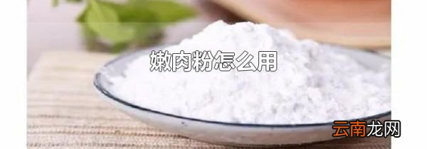 嫩肉粉怎么用