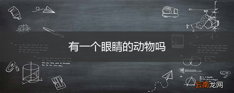 有一个眼睛的动物吗