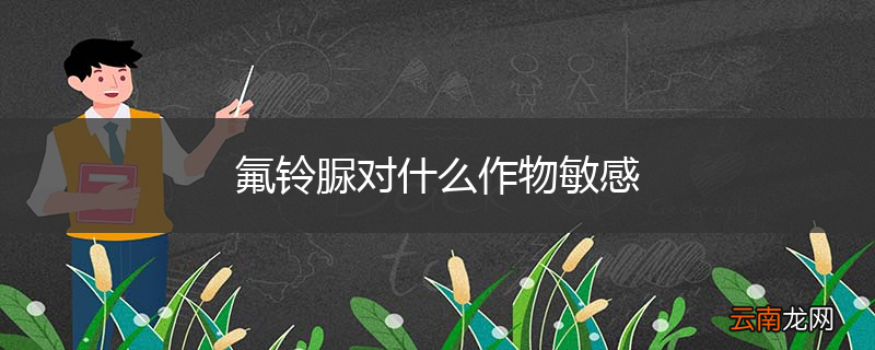 氟铃脲对什么作物敏感