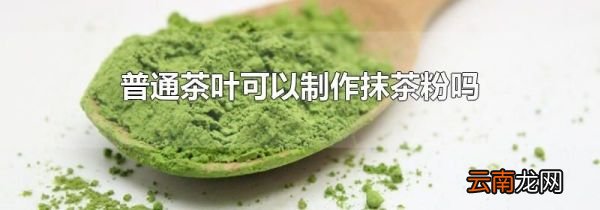 普通茶叶可以制作抹茶粉吗