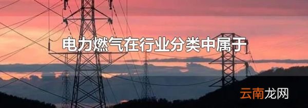 电力燃气在行业分类中属于