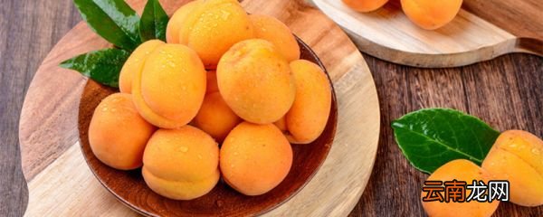 李广杏是哪里的特产 李广杏的传说