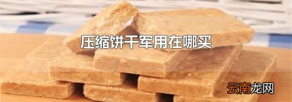 压缩饼干军用在哪买