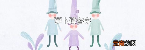 萝卜蹲名字