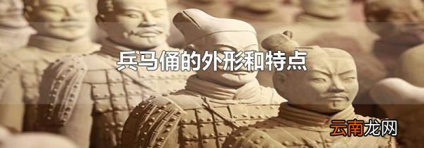 兵马俑的外形和特点