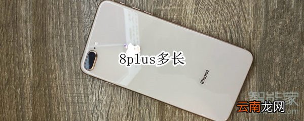 8plus多长