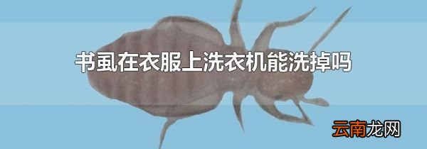 书虱在衣服上洗衣机能洗掉吗