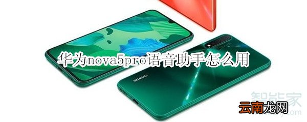 华为nova5pro语音助手怎么用