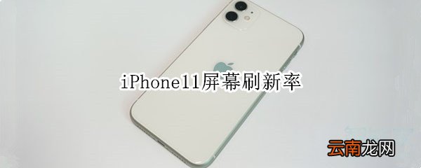 iPhone11屏幕刷新率