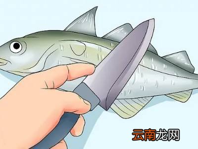 洗鱼的正确方法