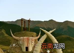 大月氏的“月”为什么读rou？