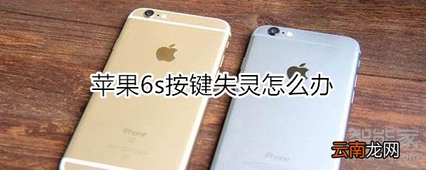 苹果6s按键失灵怎么办