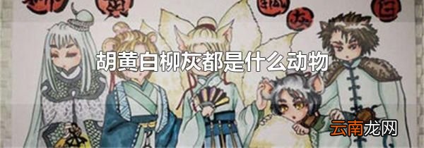 胡黄白柳灰都是什么动物