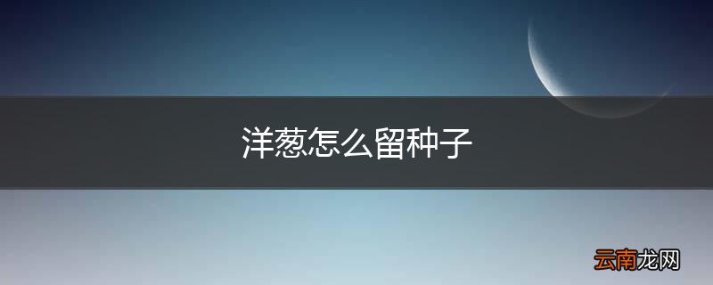 洋葱怎么留种子