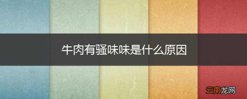牛肉有骚味味是什么原因