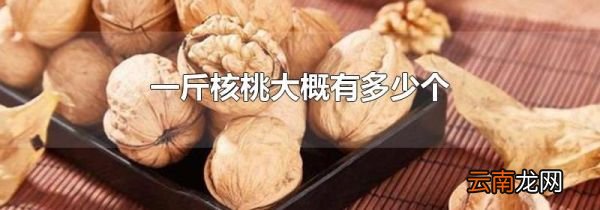 一斤核桃大概有多少个