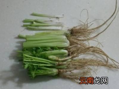 菜根香的做法