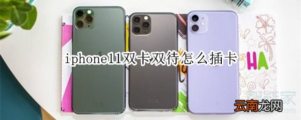 iphone11双卡双待怎么插卡