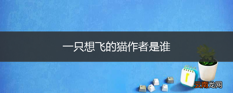 一只想飞的猫作者是谁