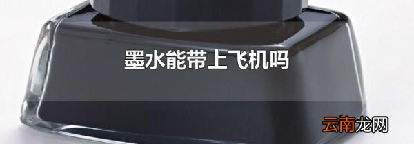墨水能带上飞机吗