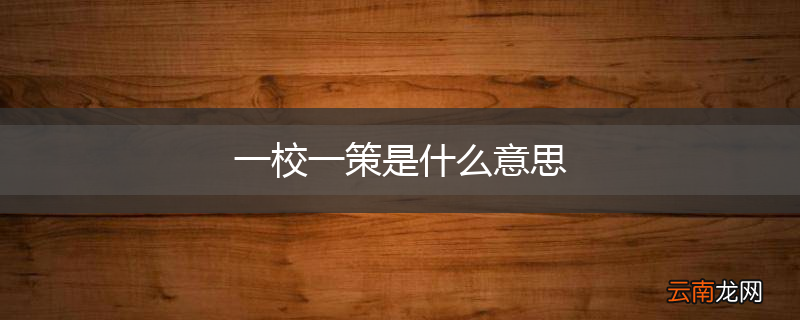 一校一策是什么意思