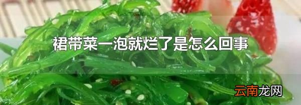 裙带菜一泡就烂了是怎么回事