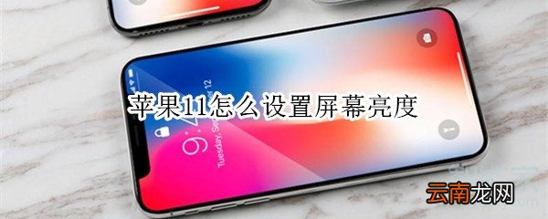 苹果11怎么设置屏幕亮度