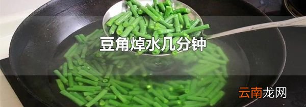 豆角焯水几分钟