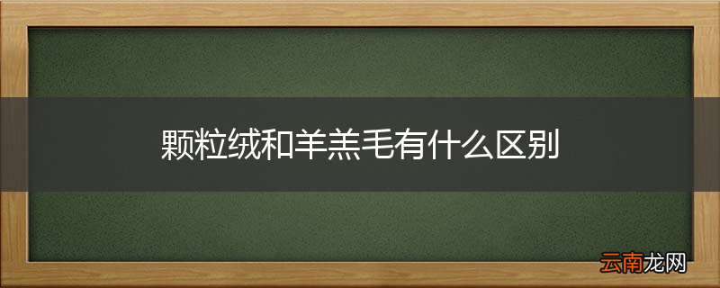 颗粒绒和羊羔毛有什么区别