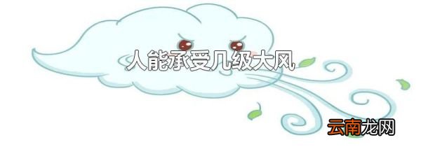 人能承受几级大风