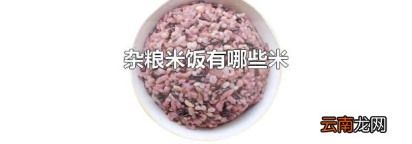 杂粮米饭有哪些米