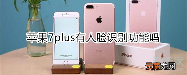 苹果7plus有人脸识别功能吗