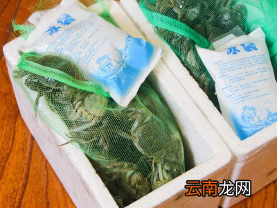 活的海鲜怎么存储