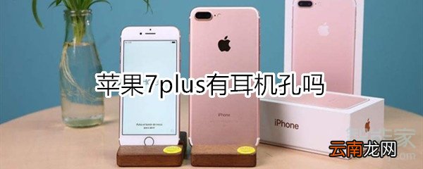 苹果7plus有耳机孔吗
