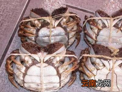 怎么捆大闸蟹教程