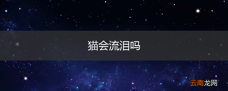 猫会流泪吗