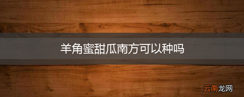 羊角蜜甜瓜南方可以种吗