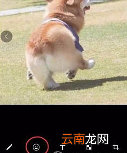 微信中图片添加表情具体操作步骤