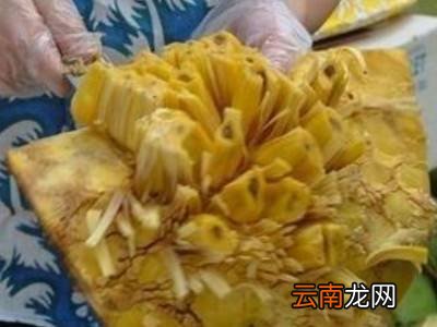 切菠萝蜜的正确方法