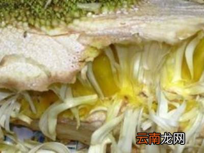 切菠萝蜜的正确方法