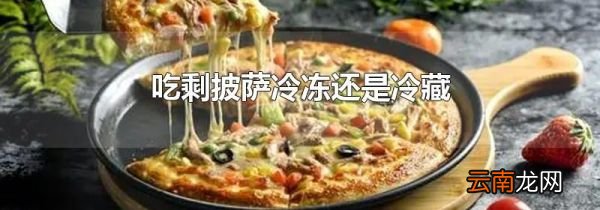 吃剩披萨冷冻还是冷藏