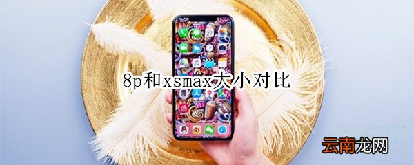 8p和xsmax大小对比